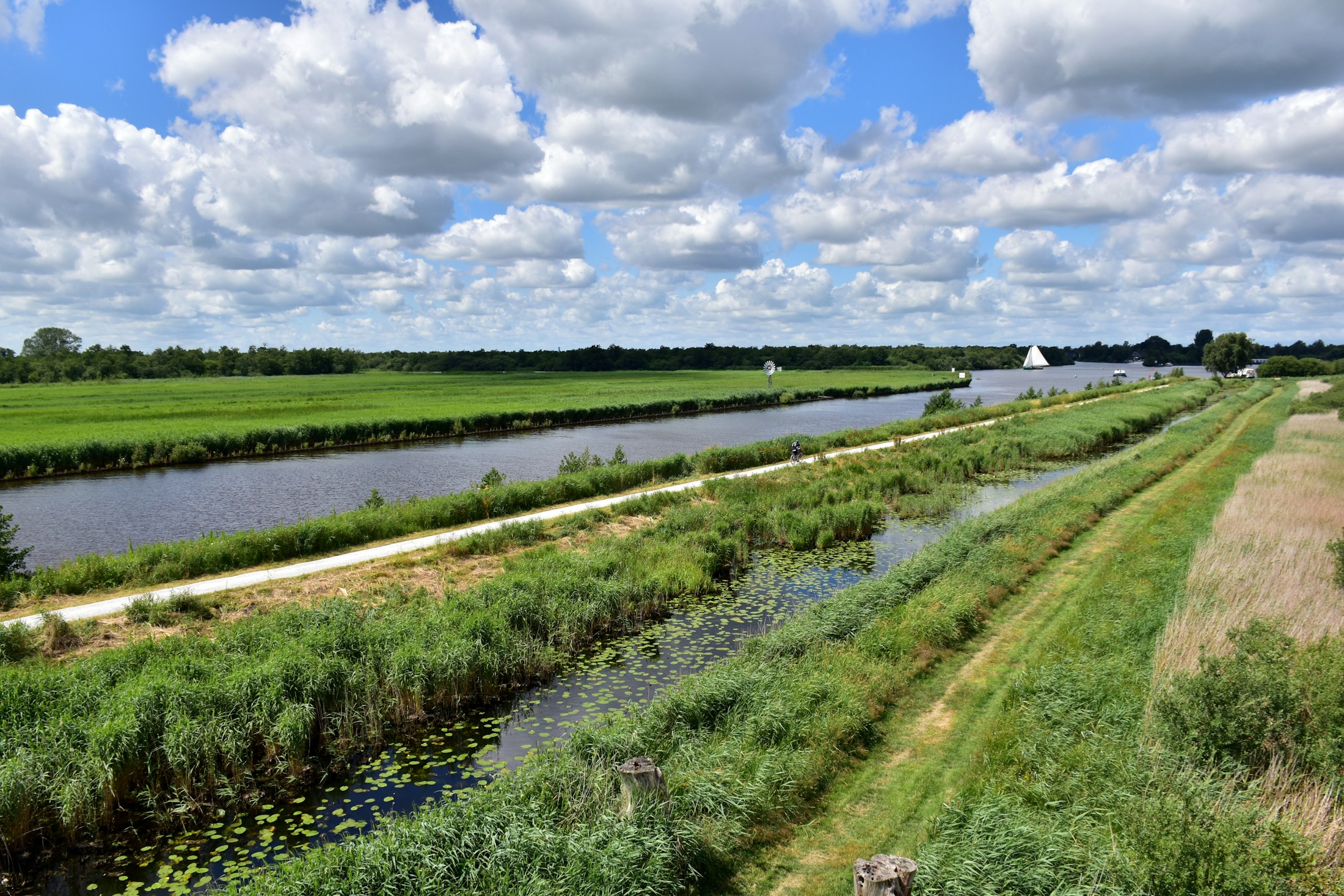 De Alde Feanen in Friesland met water, riet en groene velden